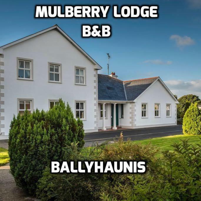Mulberry Lodge Guest House Ballyhaunis Exteriör bild
